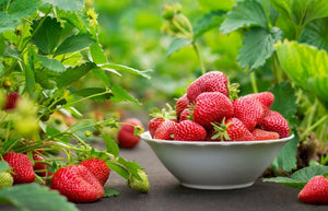 10 facts about the benefits of strawberries that you might not know!